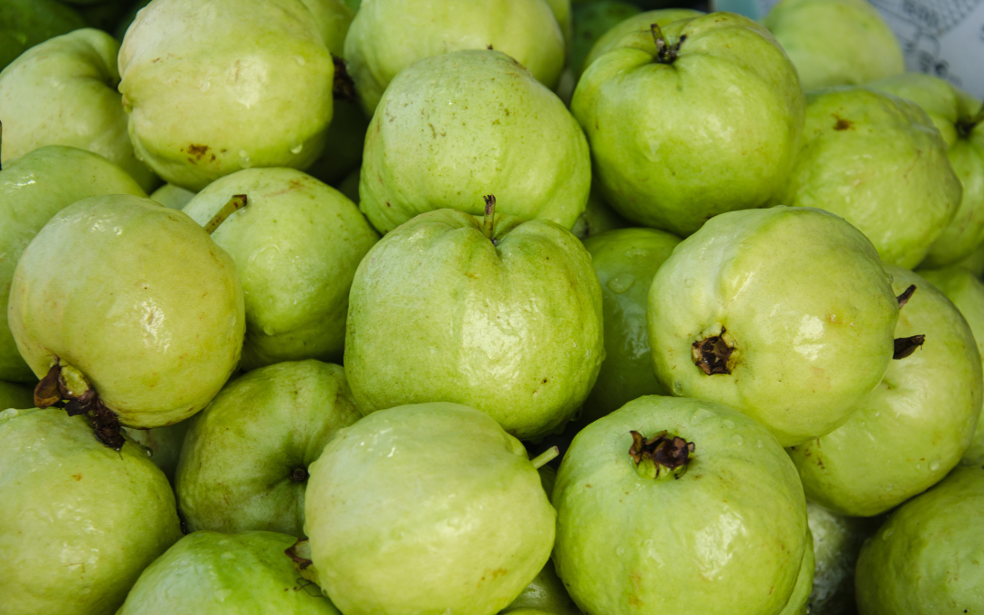 Ever wondered about the humble guava and its health benefits?