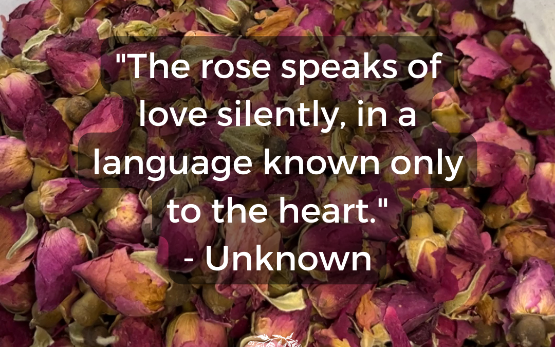 The rose speaks of love silently…